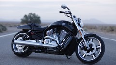 Harley-Davidson motorbikes