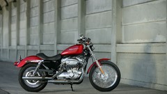 Harley-Davidson motorbikes