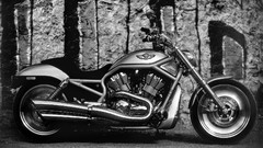 Harley-Davidson motorbikes