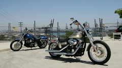Harley-Davidson motorbikes