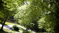 Harmony Parks smART Fotografie