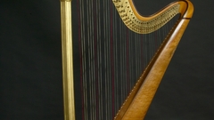 Harp