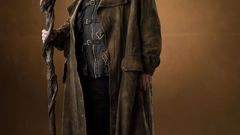 Harry Potter and the