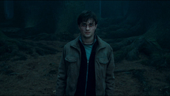 Harry Potter and The