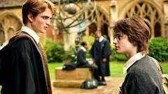 Harry Potter and the Goblet of Fire Daniel Radcliffe robert 