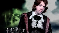Harry Potter and the Goblet of Fire harry potter ron weasley