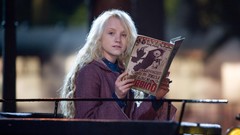 Harry Potter and the Order of the Phoenix blondes harry potter 