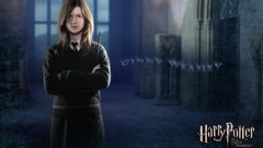 Harry Potter and the Order of the Phoenix harry potter Ginny 