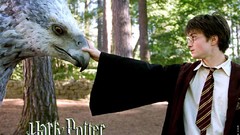 Harry Potter and the Prisoner of Azkaban Daniel Radcliffe harry 