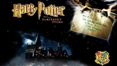 Harry Potter and the Sorcerer's Stone harry potter Owls Hogwarts
