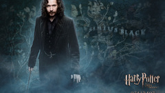 Harry potter Harry Potter