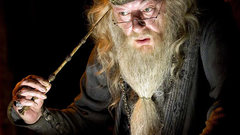 Harry potter Harry Potter