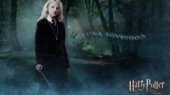 Harry potter Harry Potter