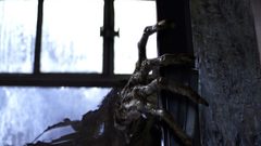 Harry potter Harry Potter