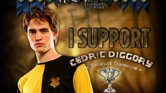 Harry potter Harry Potter