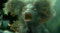 Harry potter Harry Potter