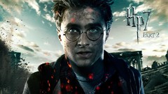 Harry potter harry potter and the deathly hallows