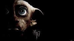 Harry potter harry potter and the deathly hallows Dobby