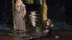 Harry potter Helena Bonham Carter Bellatrix Lestrange Albus 