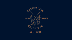 Harry potter Quidditch Hogwarts