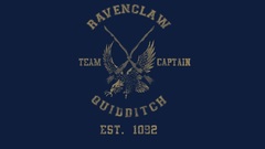 Harry potter Quidditch Hogwarts