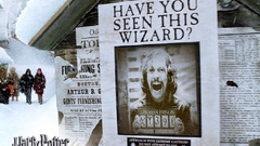 Harry potter sirius black