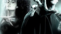 Harry potter Voldemort Bellatrix