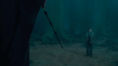 Harry Potter wand and