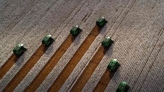 Harvest cotton fields bing costa rica farming
