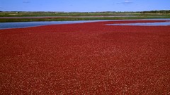 Harvest Wisconsin valleys