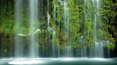 Has enjoy Which version photoshopped badly