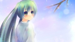 Hatsune miku vocaloid