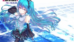 Hatsune miku vocaloid detached sleeves