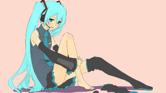 Hatsune miku vocaloid detached sleeves