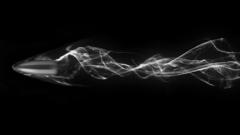 Have for Speed bullet