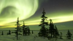 Have This in widescreen