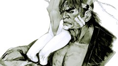 Hawk cammy street fighter artwork T. Hawk