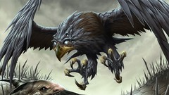 Hawk magic: the gathering artwork Dave Allsop