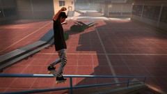 Hawk skates video games