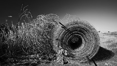 Hay monochrome fields