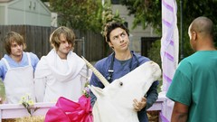 Hay Ribbons scrubs doctors zach braff unicorns TV series 