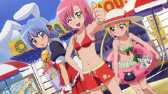 Hayate no gotoku Anime