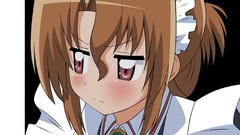 Hayate No gotoku Anime