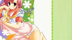 Hayate no gotoku katsura