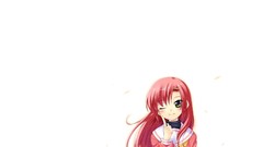 Hayate no gotoku katsura