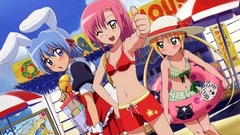Hayate No gotoku katsura