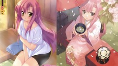 Hayate no gotoku katsura hinagiku