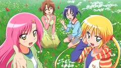 Hayate no gotoku maria