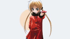 Hayate no gotoku sanzenin