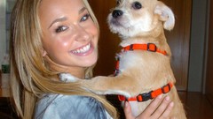 Hayden panettiere blondes